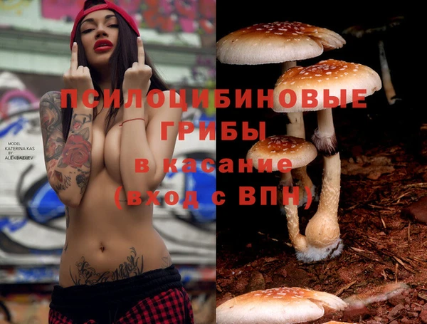 героин Алексин